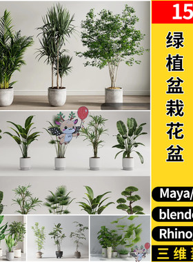 MAYA绿植盆栽花盆植物blender/Rhino犀牛SU/C4D/3Dmax模型FBX OBJ