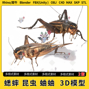 FBX 3Dmax模型STL文件格式 OBJ unity blend蟋蟀昆虫蛐蛐C4D犀牛SU