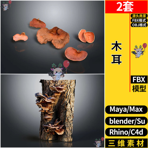 MAYA木耳菌类植物SU/blender/犀牛Rhino/C4D/3dmax模型 FBX OBJ