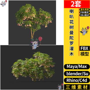 blender喇叭花树曼陀罗灌木SU/MAYA犀牛Rhino/C4D/3dmax模型FBX