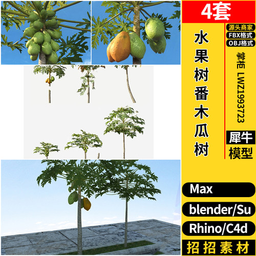 水果树番木瓜树C4D草图大师SU/Rhino犀牛blender/3dmax模型FBXOBJ