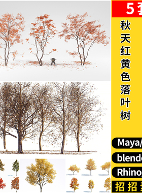 MAYA秋天红黄色落叶树blender/C4D/Rhino犀牛SU/3Dmax模型FBX OBJ