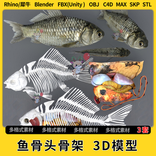 3Dmax模型STL文件FBX unity OBJ blend鱼骨头骨架C4D犀牛Rhino