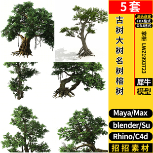 MAYA乔木古树大树名树榕树blender/C4D/Rhino犀牛SU/3Dmax模型FBX