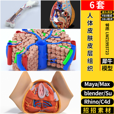 blender人体器官解剖学医疗器材SU/Maya/Rhino/C4D/3dmax模型FBX
