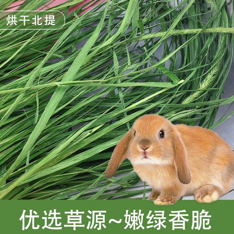 北提宠物兔龙猫烘干提摩西牧草干草毛重2斤净草1.6斤包邮