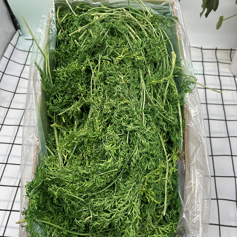 新草烘干胡萝卜缨兔子干草胡萝卜樱小宠营养零食兔龙猫荷兰猪500g