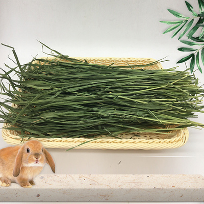 烘干小麦草干草牧草兔子饲料龙猫