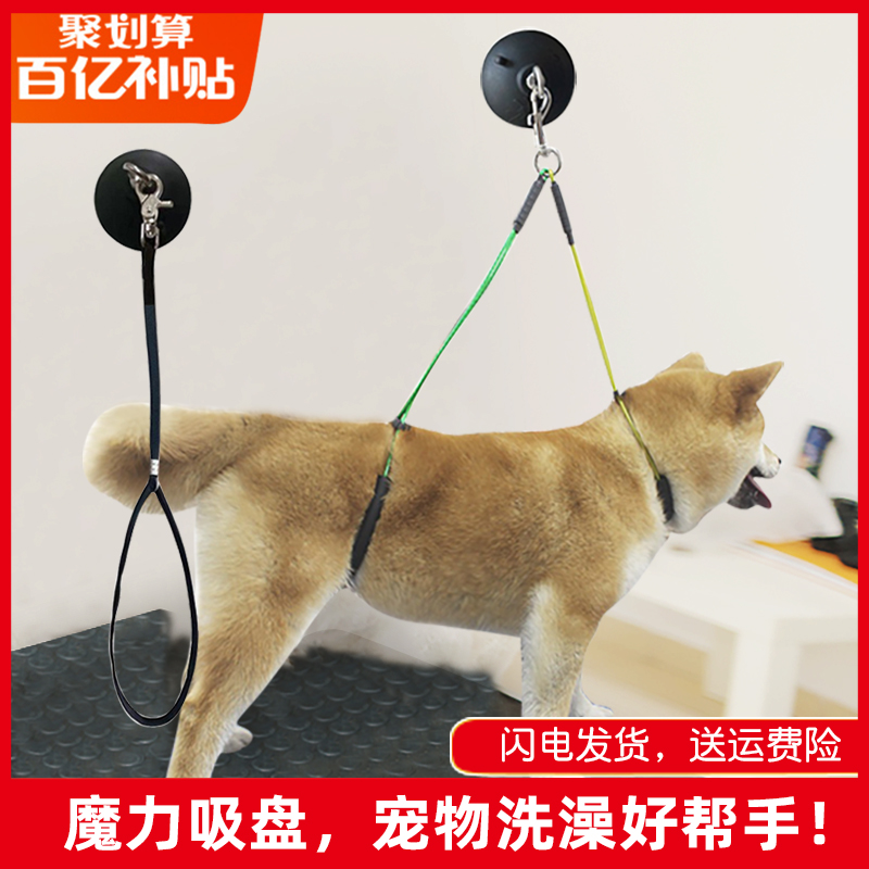 宠物猫咪洗澡固定绳美容台吊绳