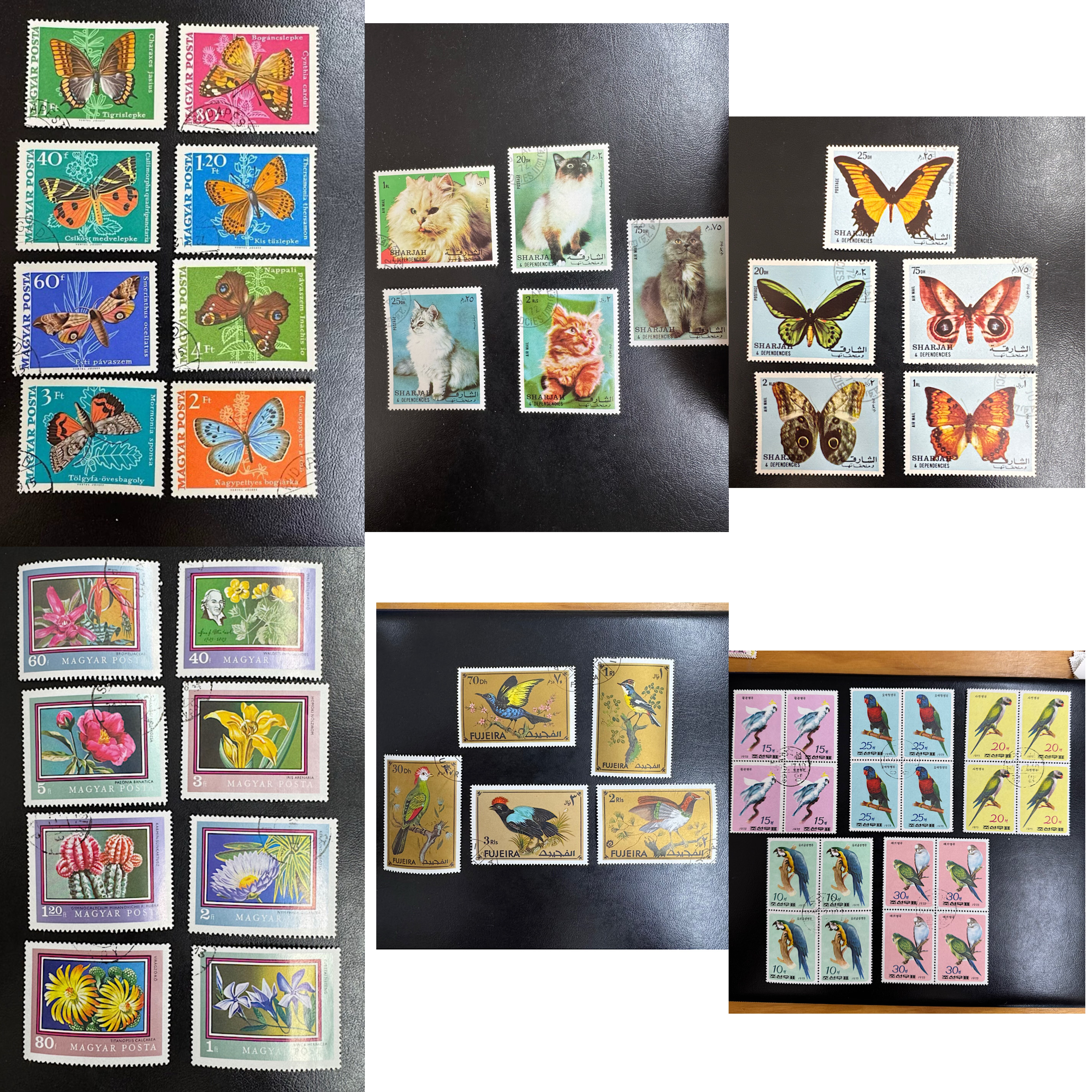 外国精品邮票 套票合集  蝴蝶 动物 花鸟鱼虫 猫 系列精品
