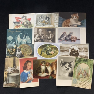 欧洲早期 珍藏老明信片 动物 系列 自选 猫