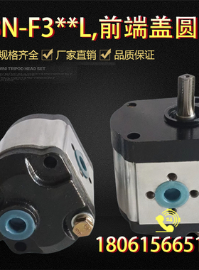 侧装泵 液压油泵CBN-F314L/F310L/F306L/F316L/F320L/F325L扁花键