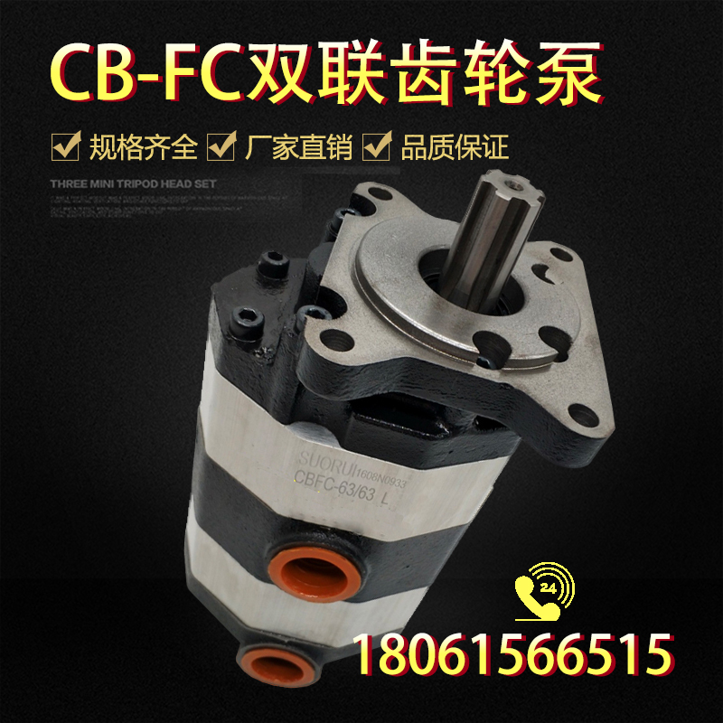 高粘度大流量双联齿轮泵小装载机