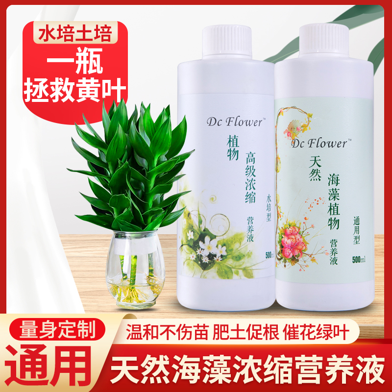 营养液植物通用型花肥发财树富贵竹绿萝水培盆栽家用花卉有机肥料