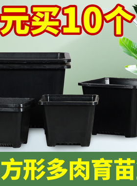 小黑方形韩式家用多肉育苗扦插方盆大白方塑料景天花盆养花种植盆