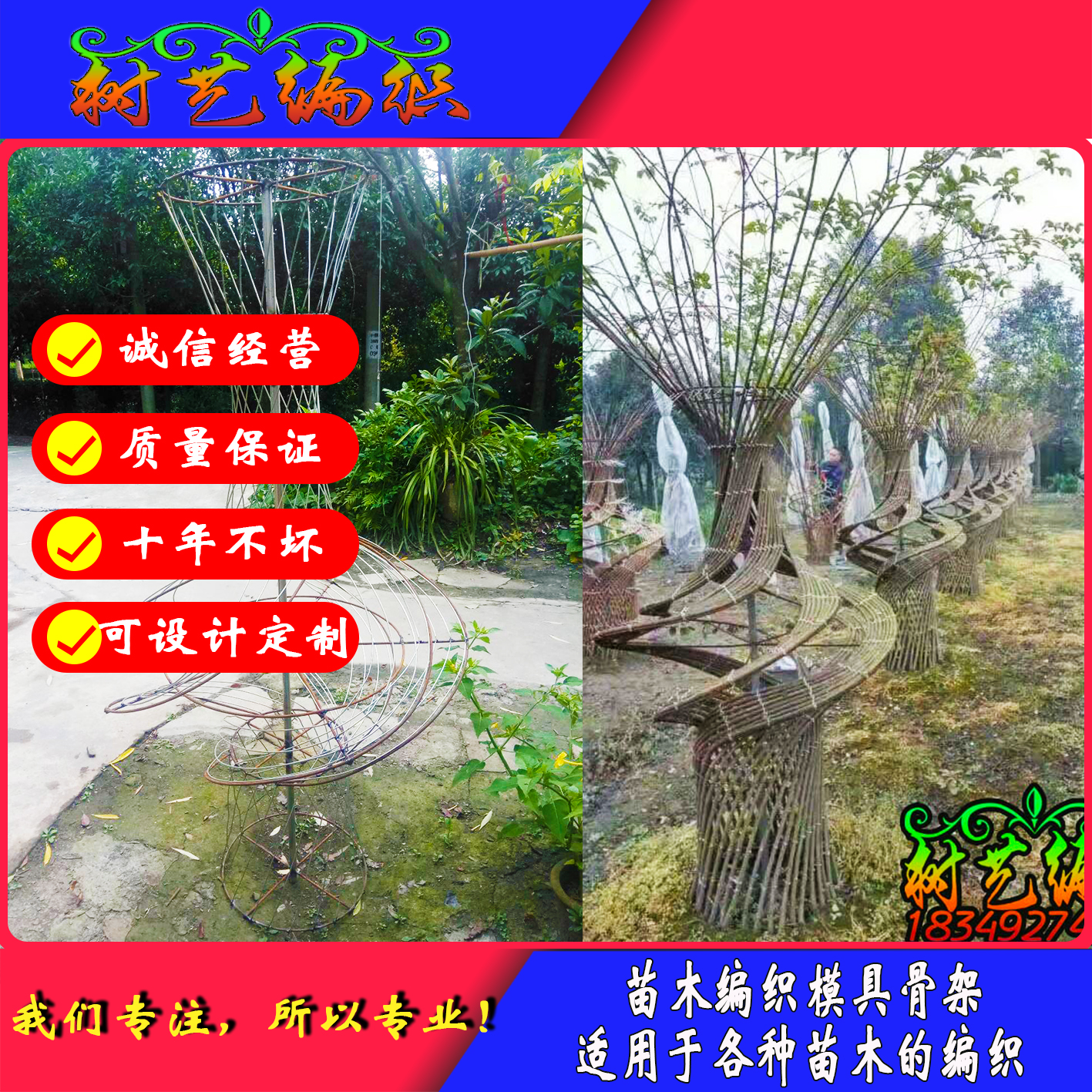 紫薇造型 苗木造型 植物 桂花铁艺定制