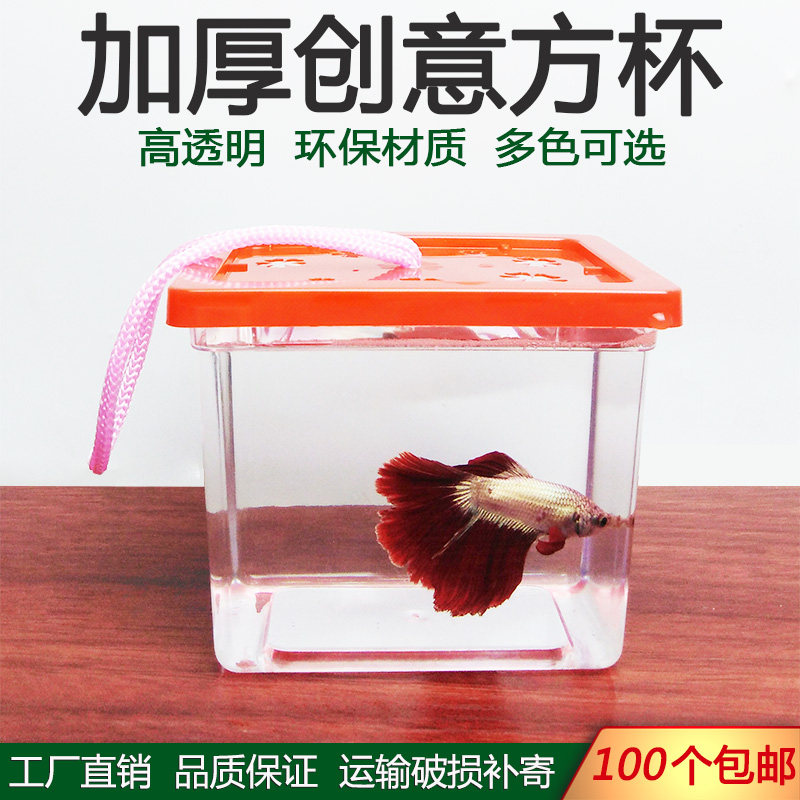 塑料带盖小号透明斗鱼杯