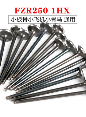 适用于雅马哈FZR250气门小板骨马小飞机250进气排气门油封1HX氮化