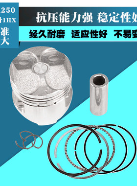 摩托车配件适用于雅马哈FZR250活塞小板骨鼓小飞机250活塞环1HX