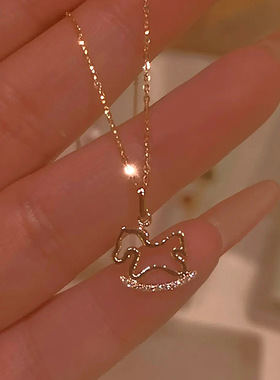 小木马项链女轻奢小众本命年颈链