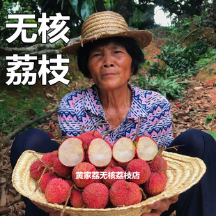 现货无核荔枝 新鲜超甜广西灵山陆桥无籽现摘 顺丰空运包邮