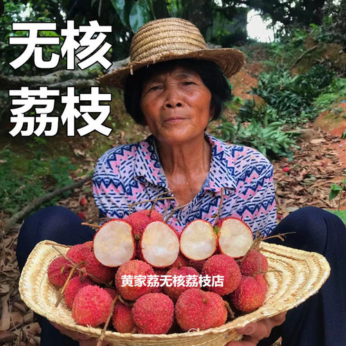 现货无核荔枝 新鲜超甜广西灵山陆桥无籽现摘 顺丰空运包邮