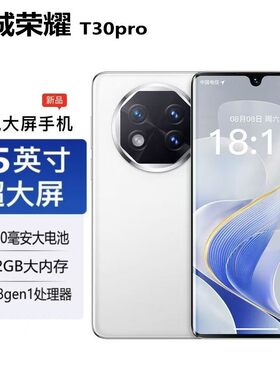 8.5寸华T30pro超薄曲面屏512G老人学生全网通5G游戏超大屏幕手机