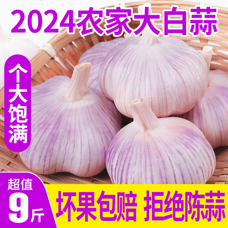 大蒜新鲜大蒜头蒜香浓郁四川特色农家调味白皮非独头干蒜头大白蒜