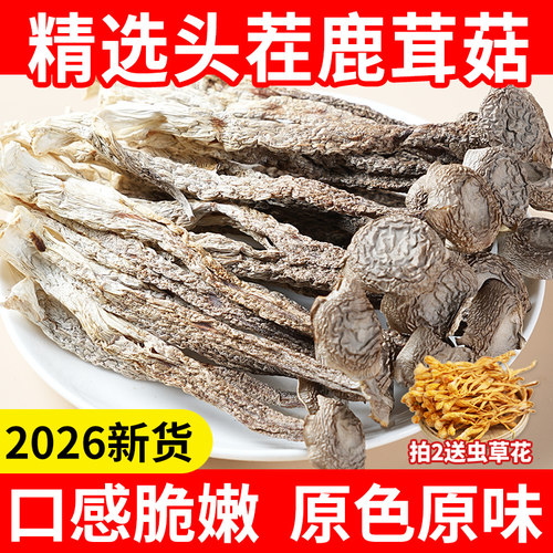 鹿茸菇干鹿茸菌200g优质干货四川