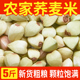 荞麦米新米农家自种甜荞米乔麦全胚芽荞麦仁黑荞麦粒五谷杂粮粗粮
