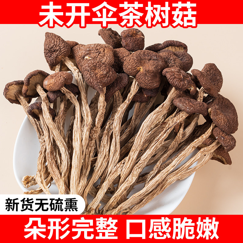 未开伞茶树菇干货农家新货干香菇特产新菌菇可配虫草煲汤非旗舰店