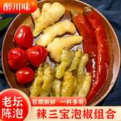 辣三宝四川泡菜正宗川式 跳水自制泡椒野山椒小米辣泡姜嫩姜组合