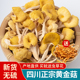 四川黄金菇干货200g鸡油菌榆黄菇香菇蘑菇大凉山特产黄丝菌金顶蘑
