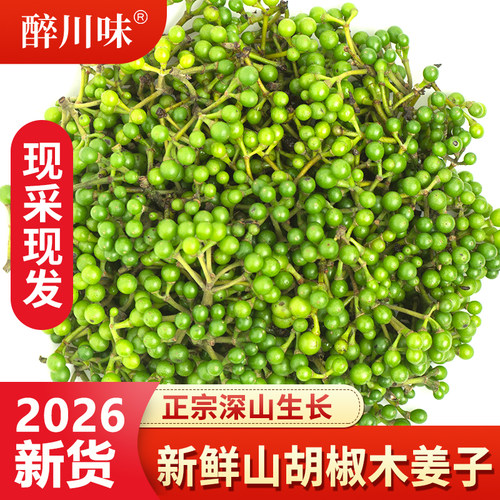 山胡椒深山木姜子贵州木江子现摘
