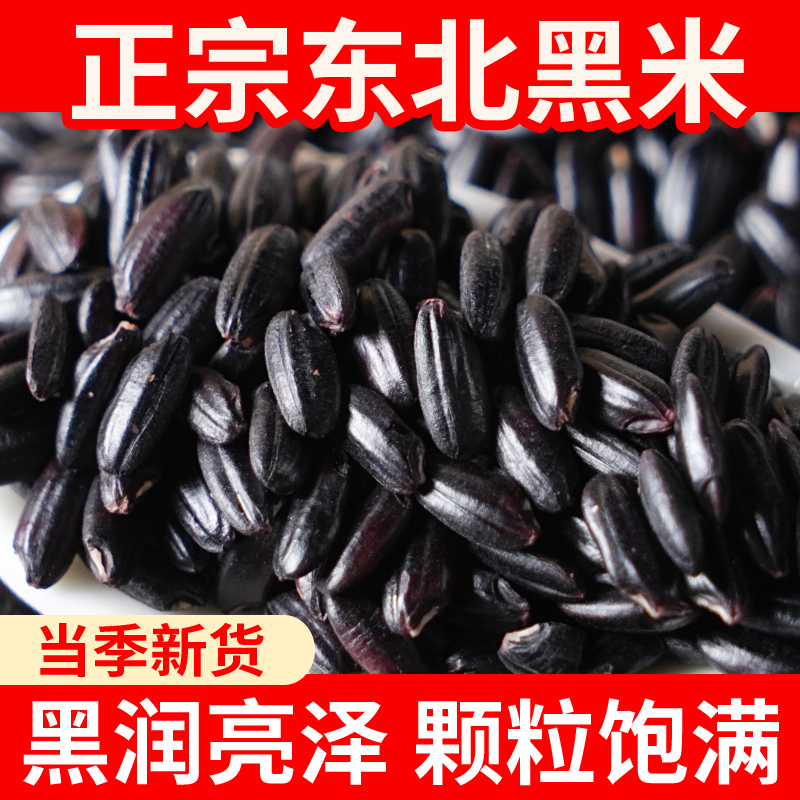 正宗东北黑米2024年新米