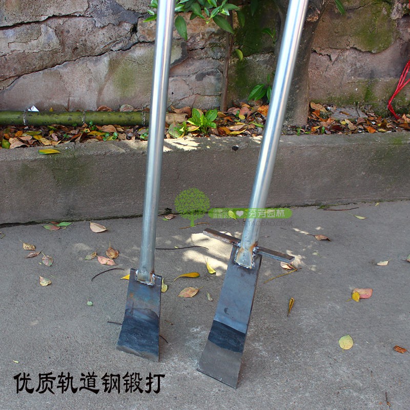 树铲泥锹移植加厚断根挖坑
