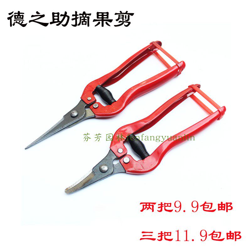 农用摘果剪果树剪葡萄蔬果剪锰钢采果剪柑橘园林剪刀水果采摘剪子