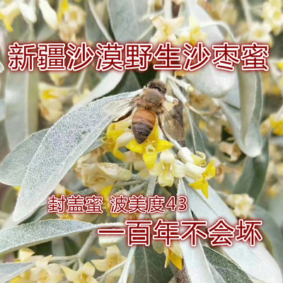 野生新疆土蜂蜜农家特级封盖蜜