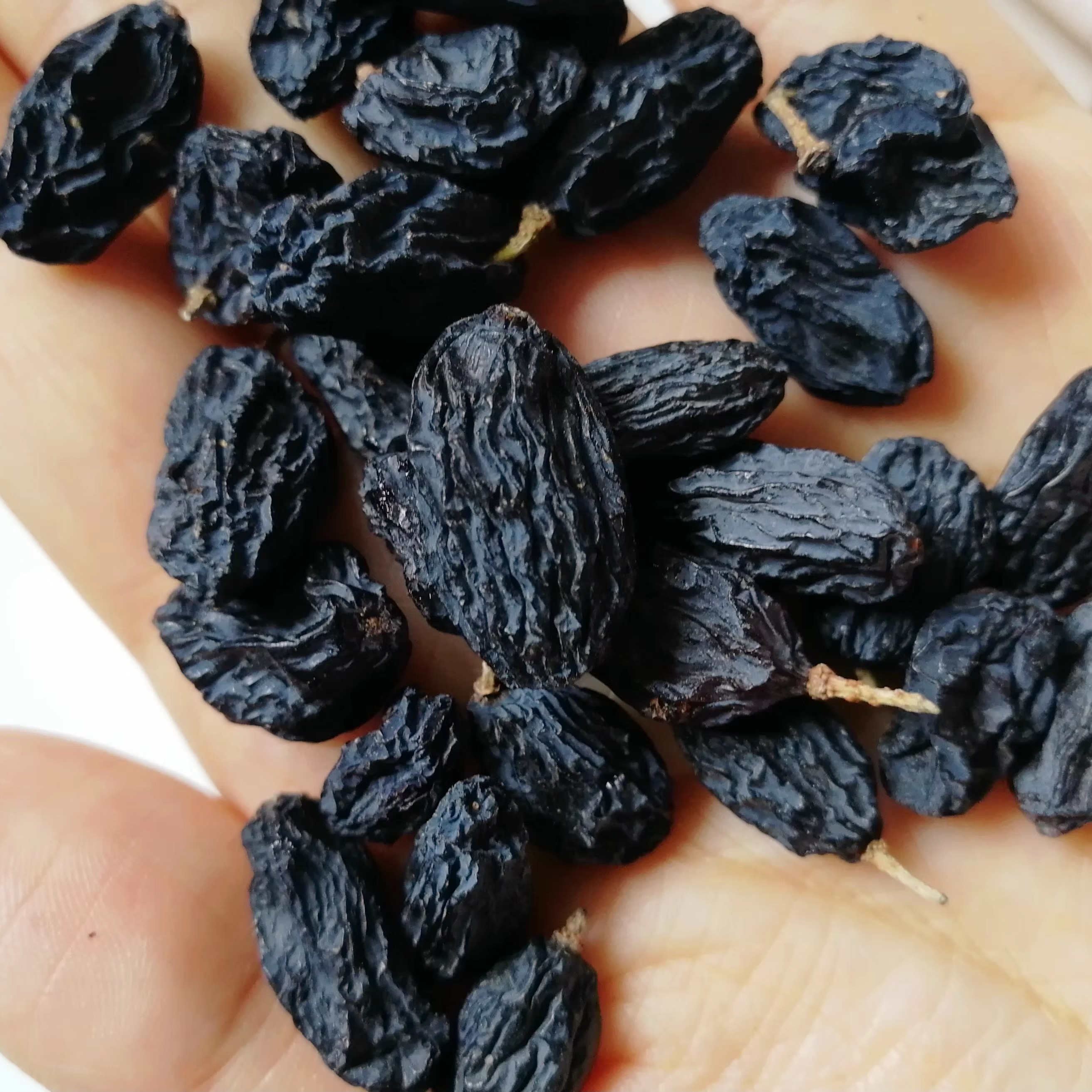 葡萄干新疆颗粒饱满黑加仑葡萄干