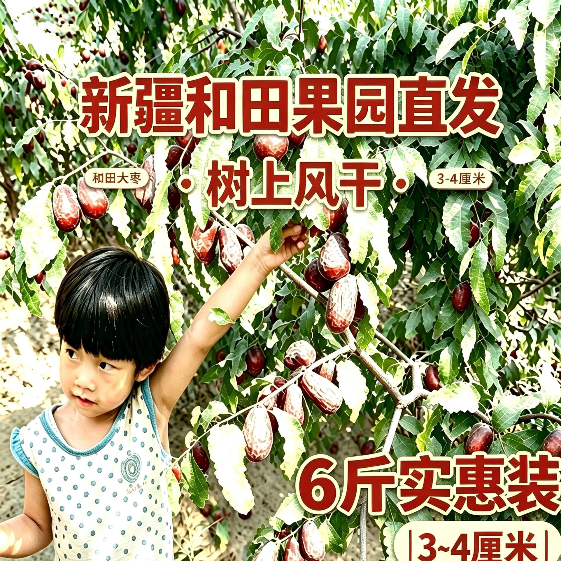 6斤新疆和田大枣原生态带灰未清洗干枣包邮新枣新疆直发