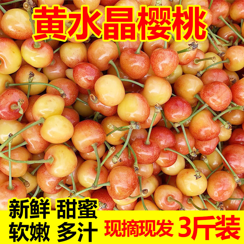 山东黄樱桃露天烟台黄水晶黄色黄蜜国产黄金雷尼车厘子5水果新鲜