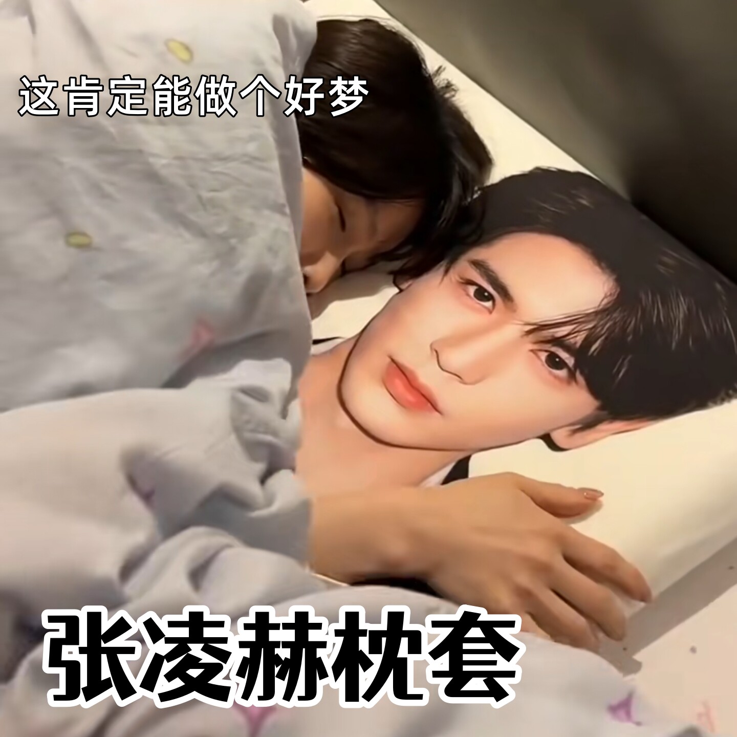 张凌赫枕套女生宿舍陪睡枕头套