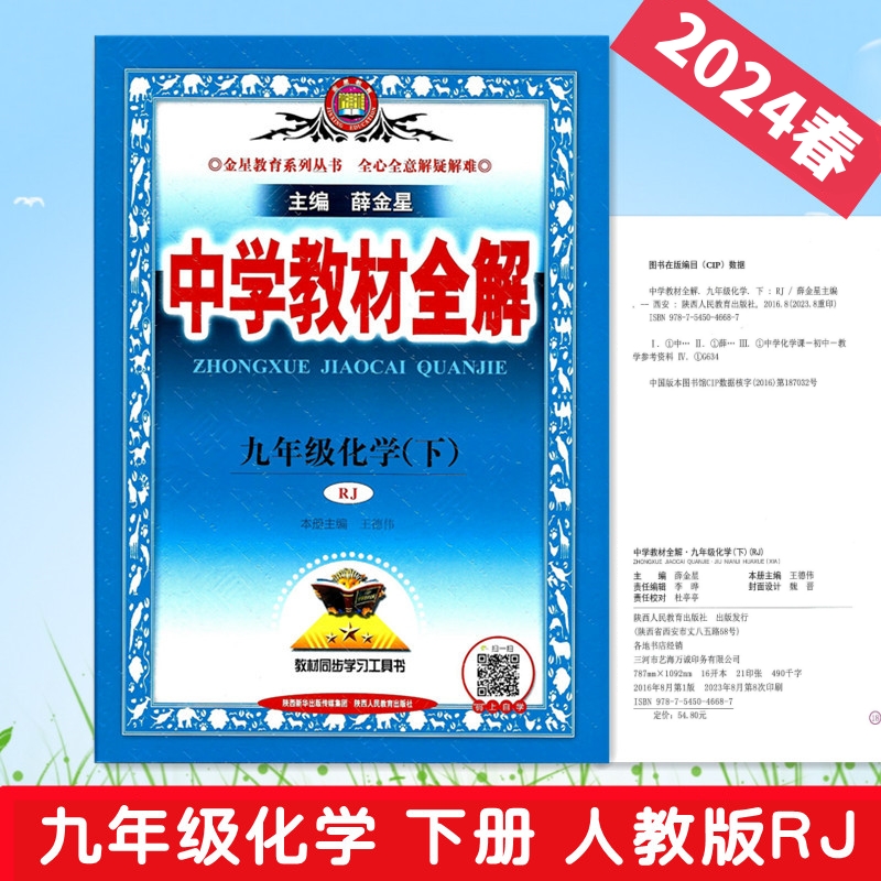 2024中学教材全解九年级化学下册