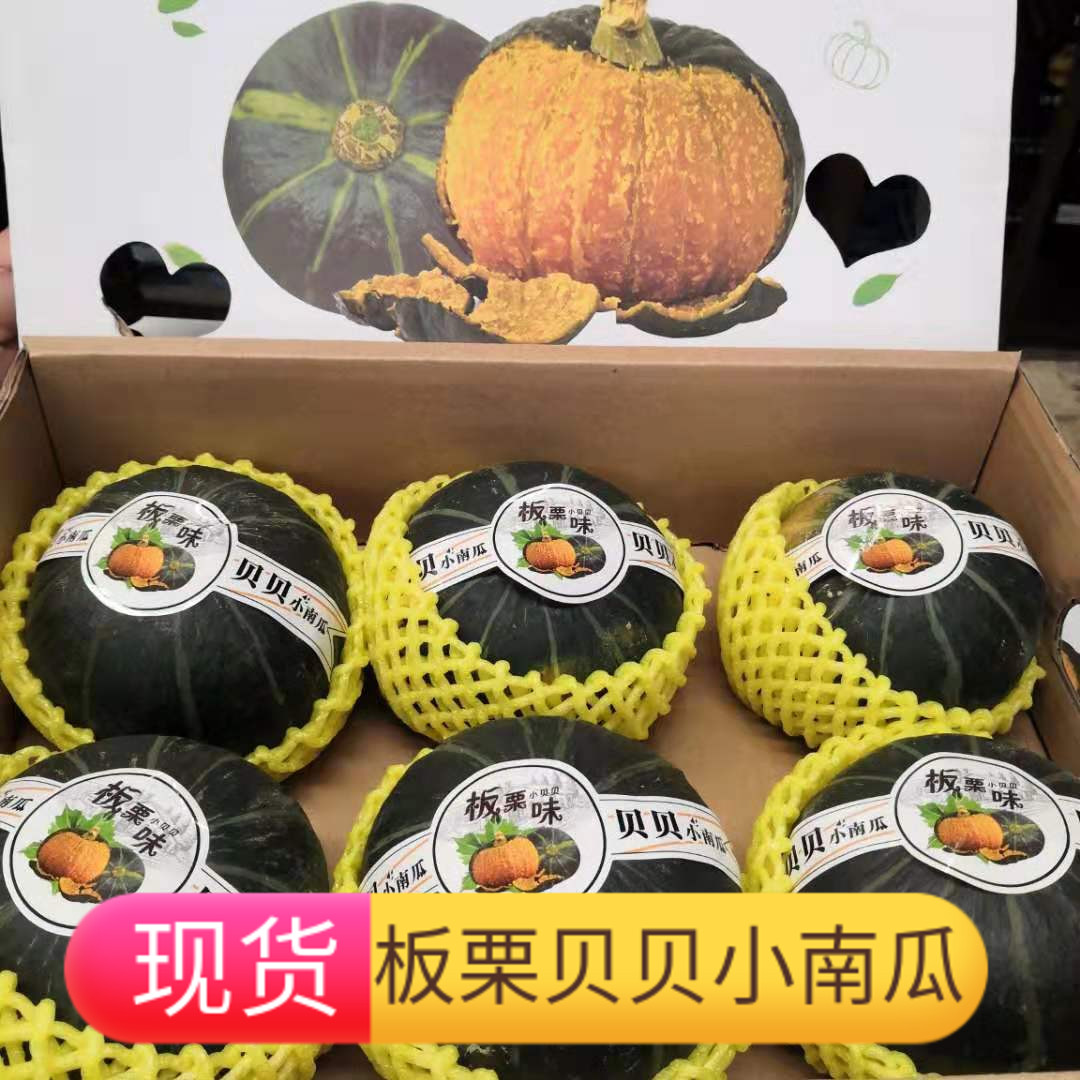 Babe Pumpkin Chestnut 5 baby Complementary food Japan Pumpkin Fresh vegetables Gift box packagingin the Aquatic meat/Fresh fruits and vegetables/Cooked , Fresh vegetables/Vegetable products , Fresh vegetables , Pumpkin category - from Buy2taobao.com to provide professional Taobao agent buy service