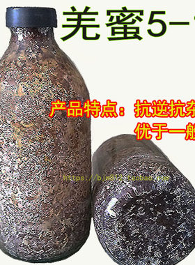 蜜环菌优质新a9培育用无杂质猪苓