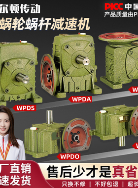 WPDA/WPDS/WPDZ/WPDO/WPDX 50 60 70 80 100 120 蜗轮蜗杆减速机
