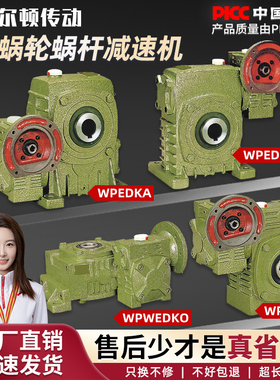 WPEDKA WPEDKS WPWEDKO WPWEDK 铁壳蜗轮蜗杆减速机齿轮变速箱