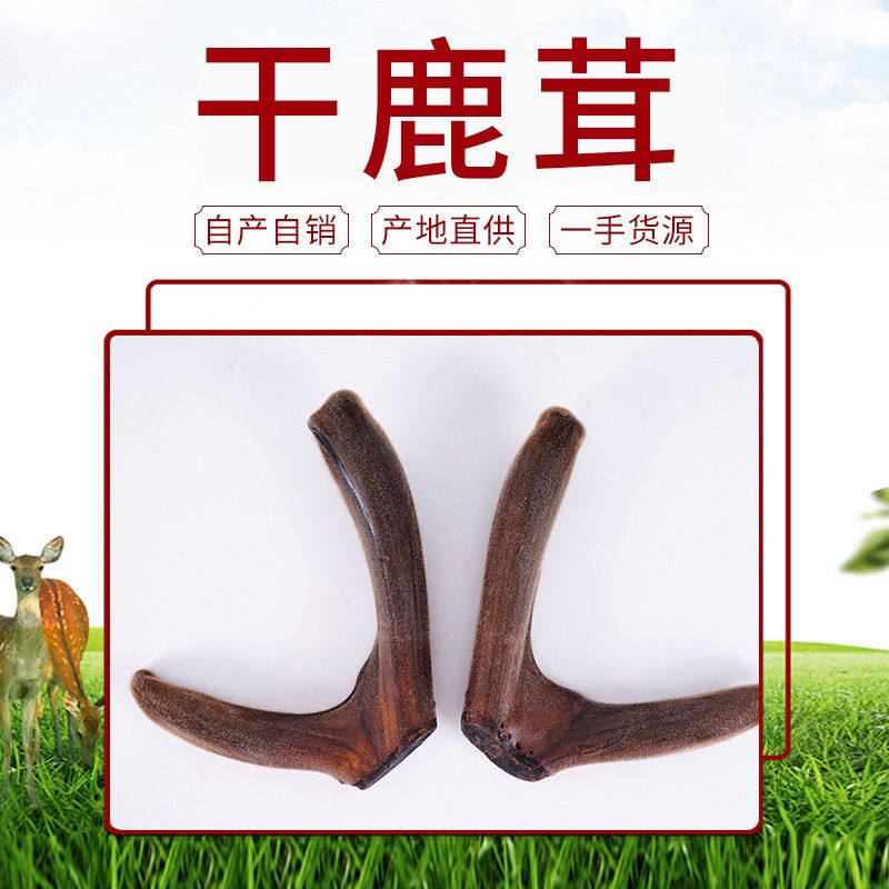 【空运冷链】鲜鹿茸整枝含血头茬二杠吉林产地整只鹿茸梅花鹿茸头