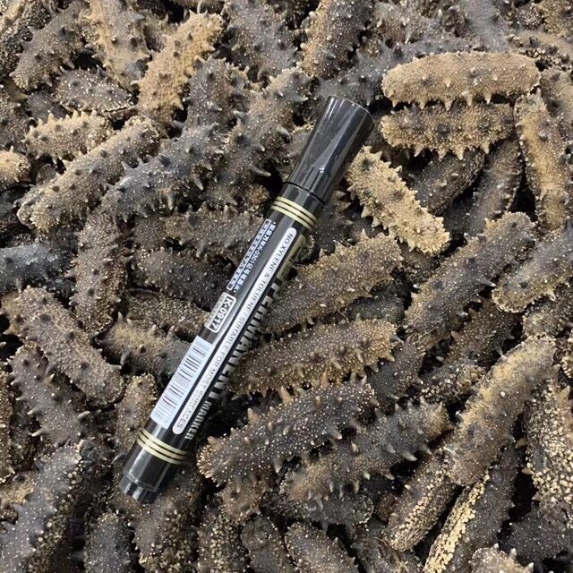 大连8A纯仿野生海参干货500克7-10年辽参非即食淡干刺参礼盒25g