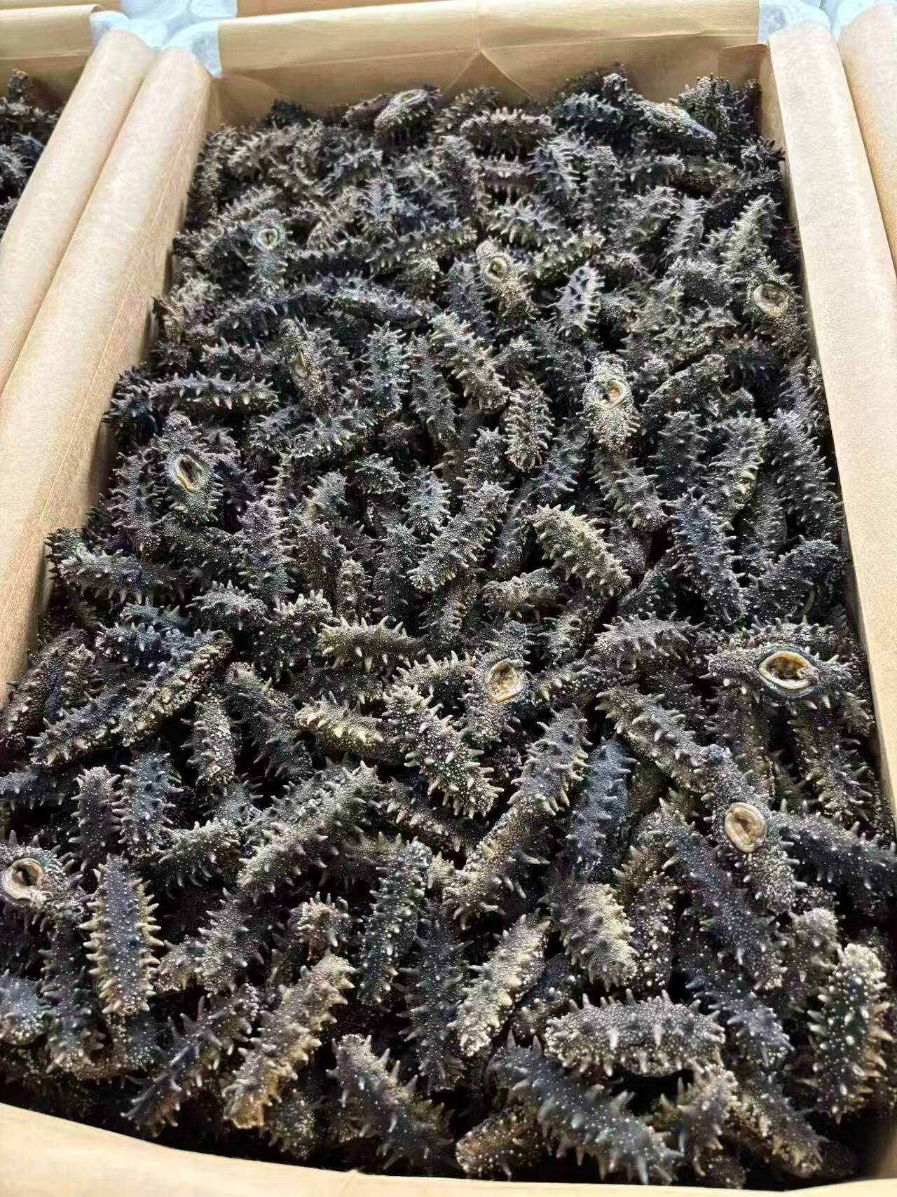 老工艺精品海参干货散装淡干海参野生刺参非鲜活即食